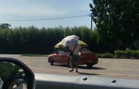 漳州悦华新交通驾校