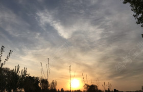 邢台威县驾校