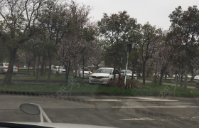 上海德安驾校
