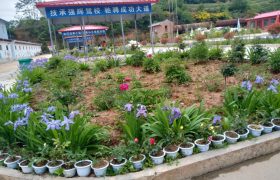 陇南成县强辉驾校