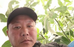 鹤壁大山驾校