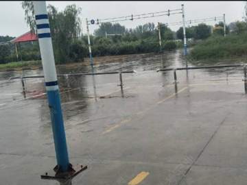 温县阳光驾校