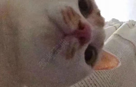 巴中大众驾校
