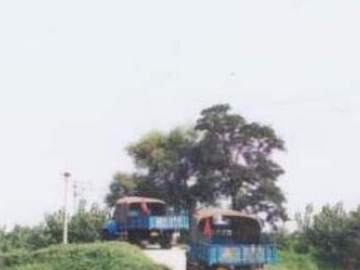 安通驾校