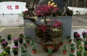 昭通威信驾校