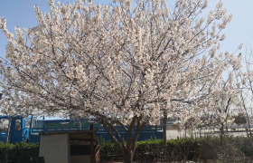 洛阳豫祥驾校