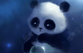 兰州北方驾校