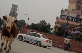 遂宁富临驾校
