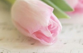 孝感永安驾校