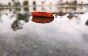 临沂正阳驾校