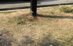 乐东黎族自治县凤翔驾校