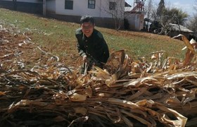 大理白族自治州前源驾校