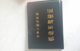 重庆九城驾校