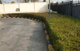 赣州黄金驾校