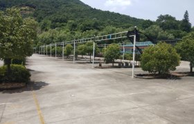 绍兴国成驾校