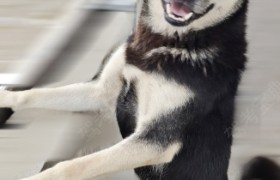 贵阳诚信驾校