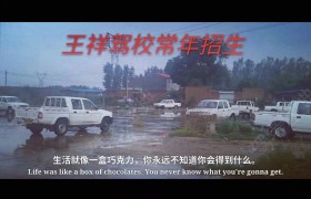 保定程前驾校