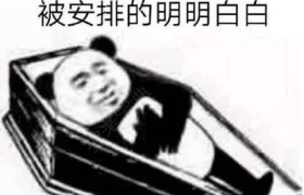 临沂东方驾校