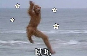 南充华宇驾校