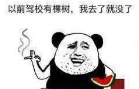 孝感盛兴驾校