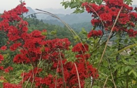 毕节宏强驾校