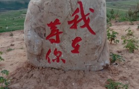 洛阳隆兴驾校