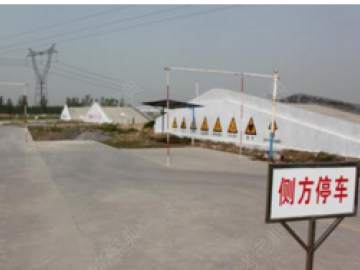 龙飞驾校