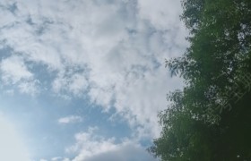 河池东兰驾校