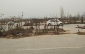聊城超越驾校