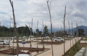 凉山彝族自治州川交驾校