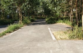 北海新正驾校