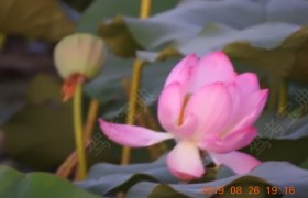 孝感兴达驾校