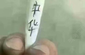 濮阳信誉驾校