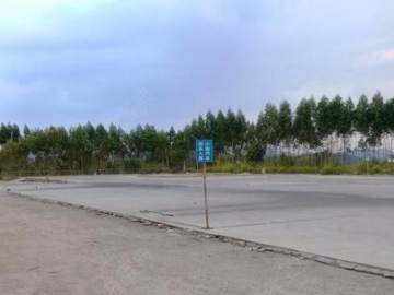 神驰驾校