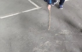 徐州钟吾驾校