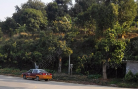 广州埔农驾校