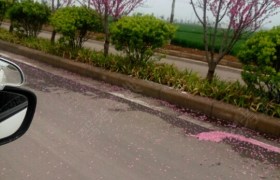 鹤壁大众驾校
