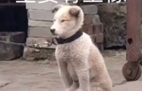 随州神农驾校