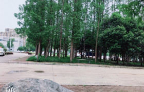 阜阳雪峰驾校