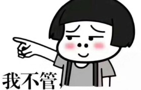 崇左翔瑞驾校