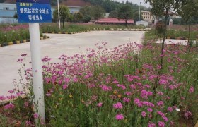 株洲新阳光驾校