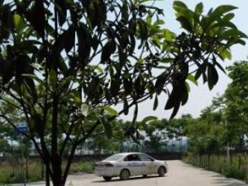 恒瑞驾校