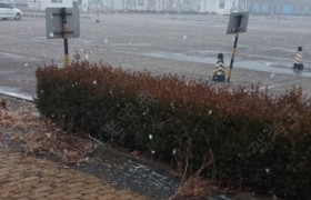 临沂国泰驾校