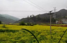 贵阳天行健驾校
