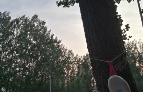 聊城天宇驾校