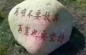德州金华威驾校