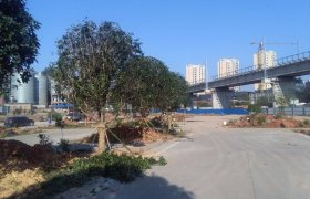 邵阳龙驰驾校