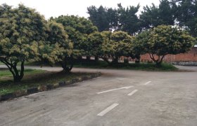 南宁华侨驾校