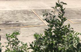 重庆洪马驾校