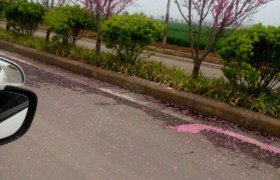 鹤壁大众驾校